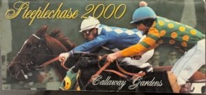 Steeplechase 2000