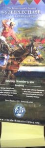 Steeplechase 2011