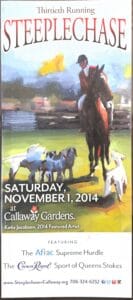 Steeplechase 2014