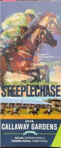 Steeplechase 2016