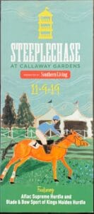 Steeplechase 2019