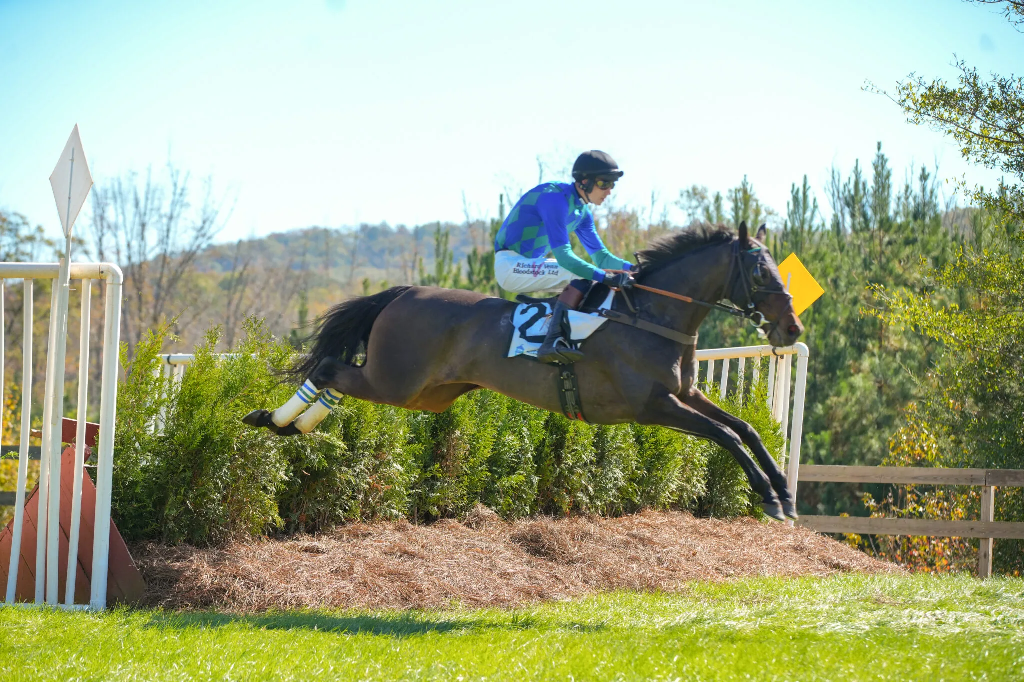2023_11_Steeplechase-Joe-Paull-39-2048x1365.jpeg